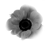 Remember!
